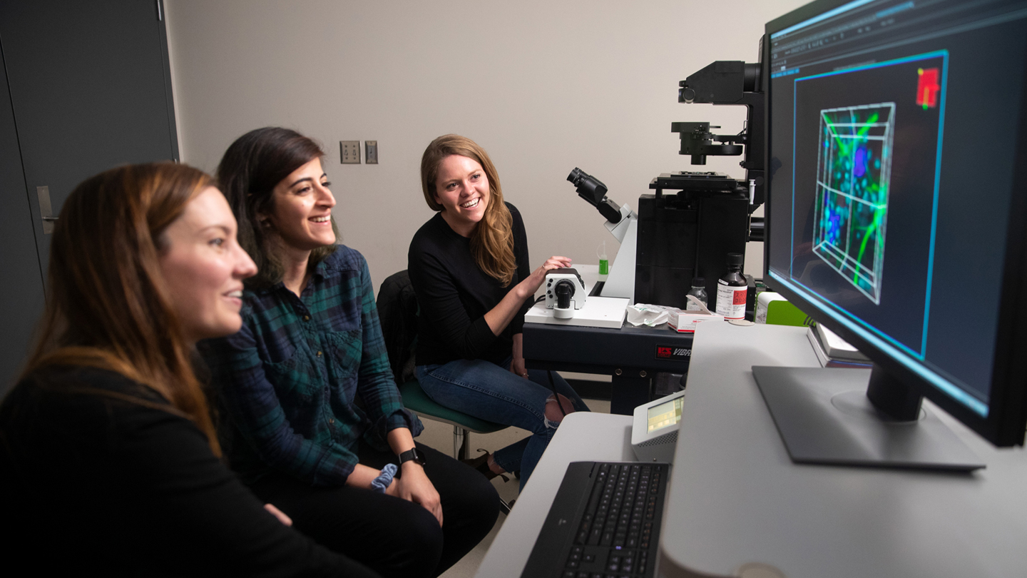 Three researchers sit at a computer with a 3D an analysis on the screen.