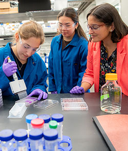 students and instructor working at a Brown lab