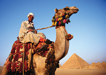 Man on camel with pyramids in the distance.