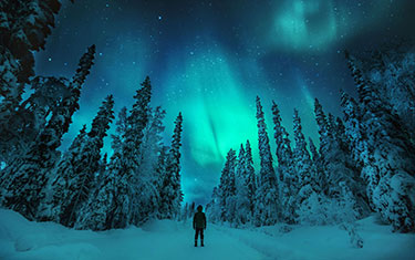 person looking at the northern lights in a snowy landscape