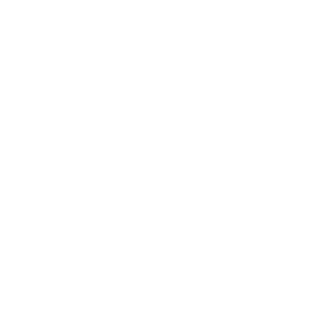 White icon of coins.