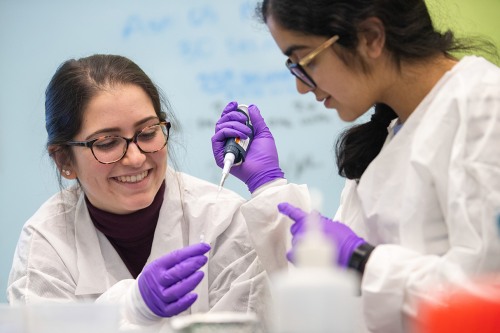 Two students in lab working on research.