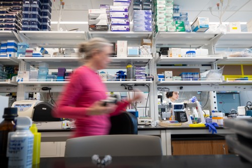 Researchers at Brown working in a laboratory