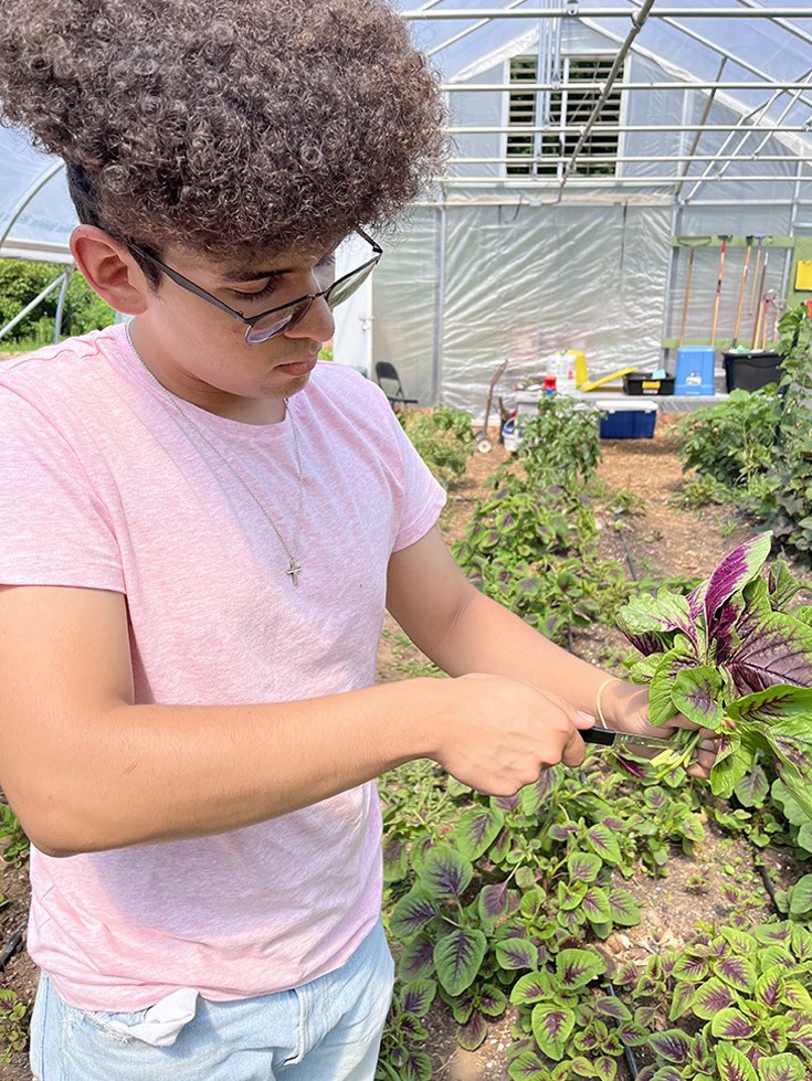 Michael Ochoa working at a farm during his Careers in the Common Good internship.
