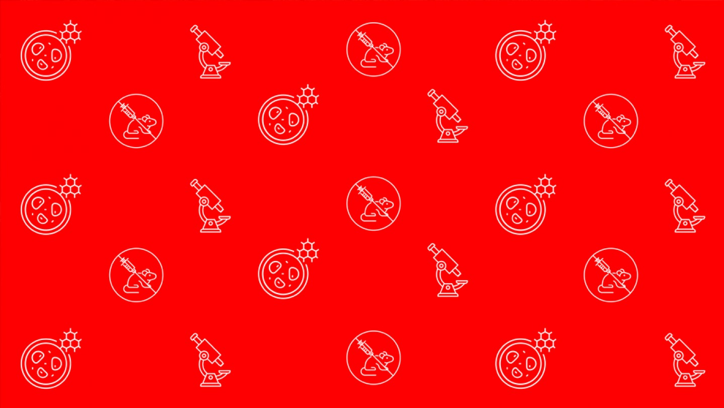 Uncovering Alternatives To Animal Testing Alumni Friends Brown