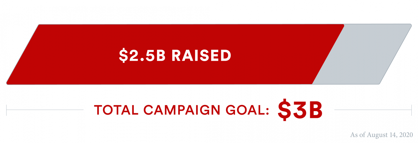 Campaign progress chart (2.5b of 3b)