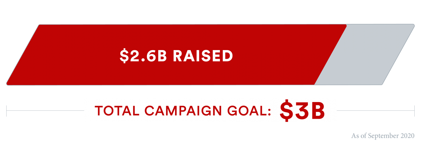 Campaign progress chart (2.6b of 3b)